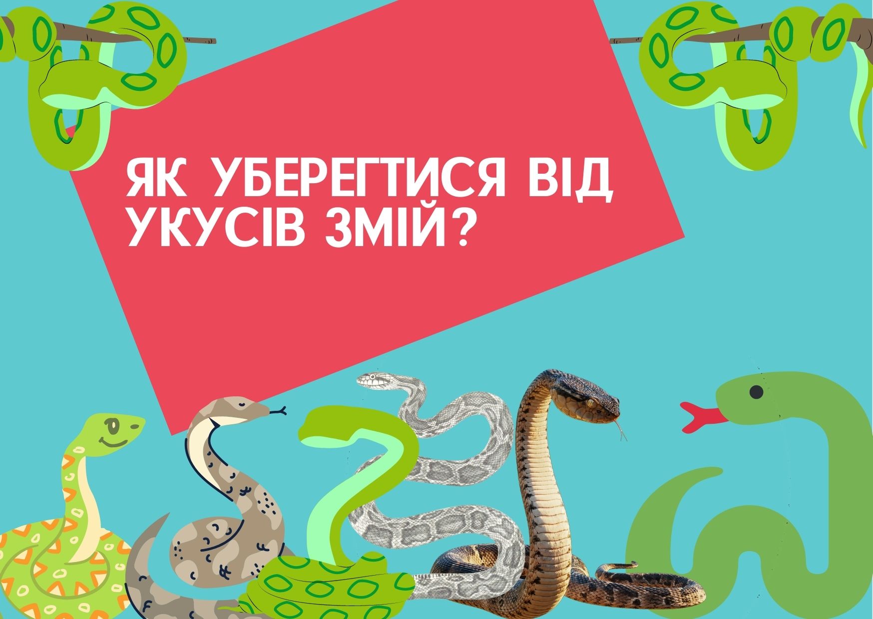 Як уберегтися від укусів змій?