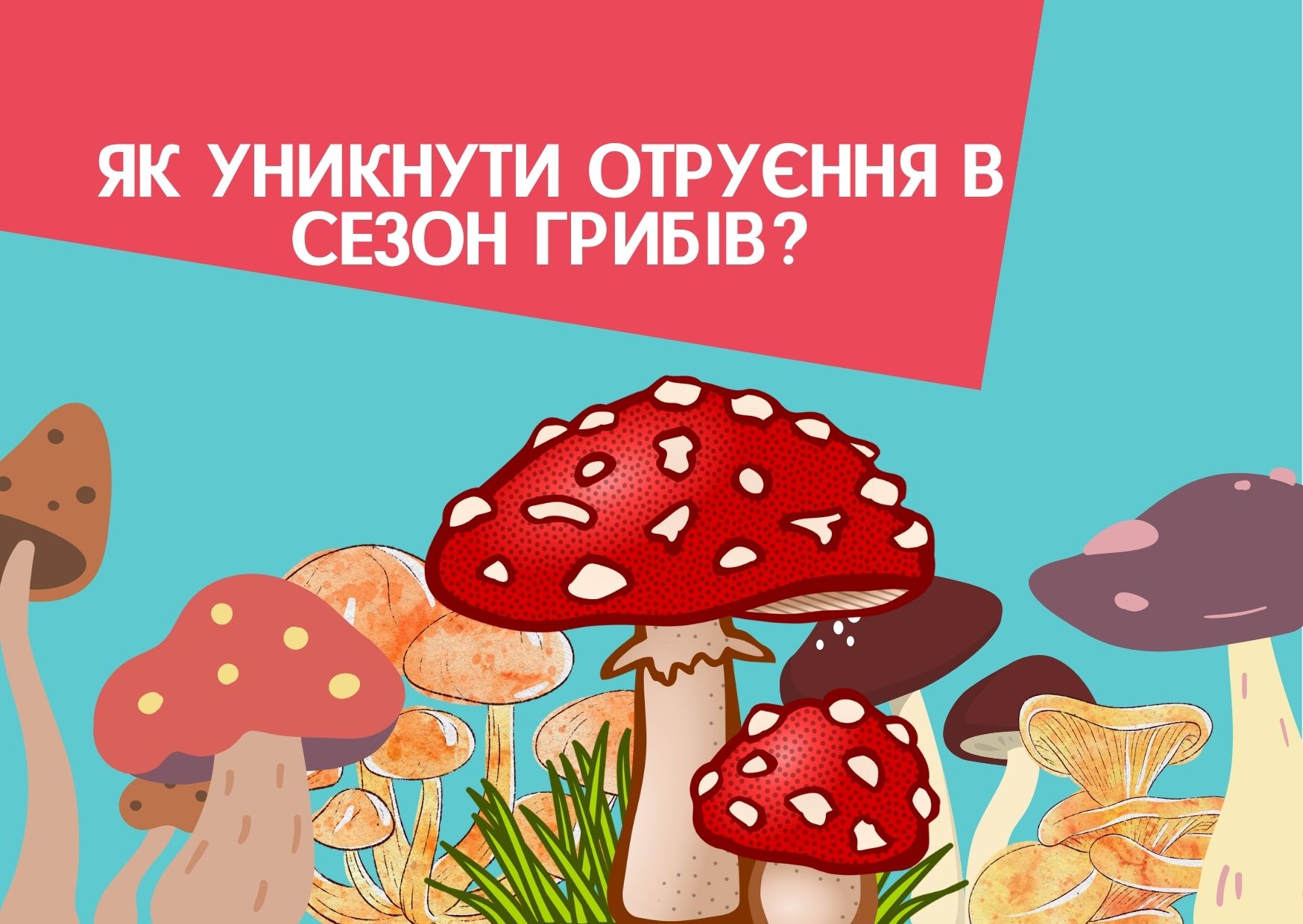 Як уникнути отруєння в сезон грибів?