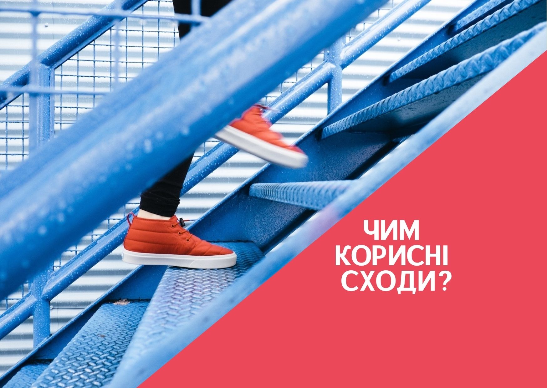 Чим корисні сходи?