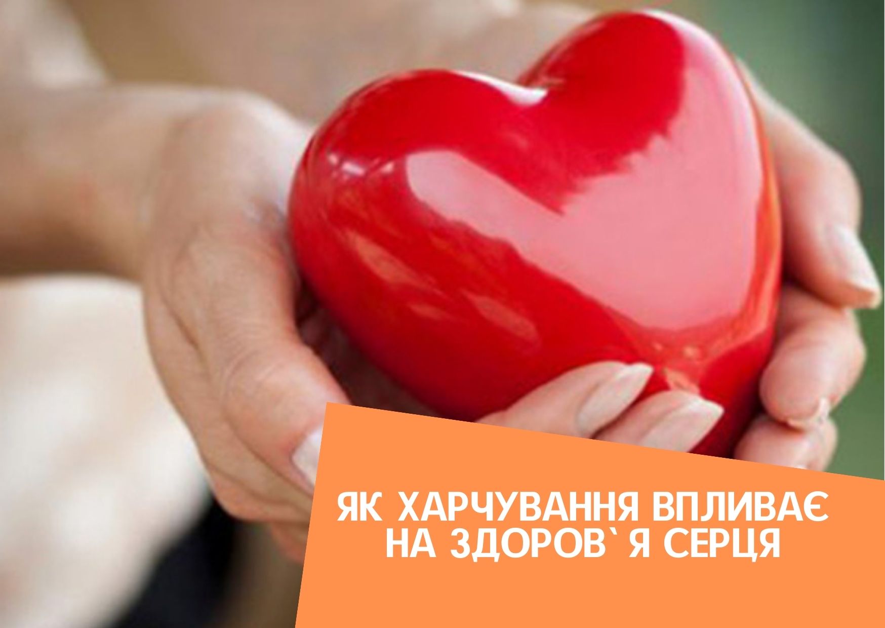 Як харчування впливає на здоров`я серця