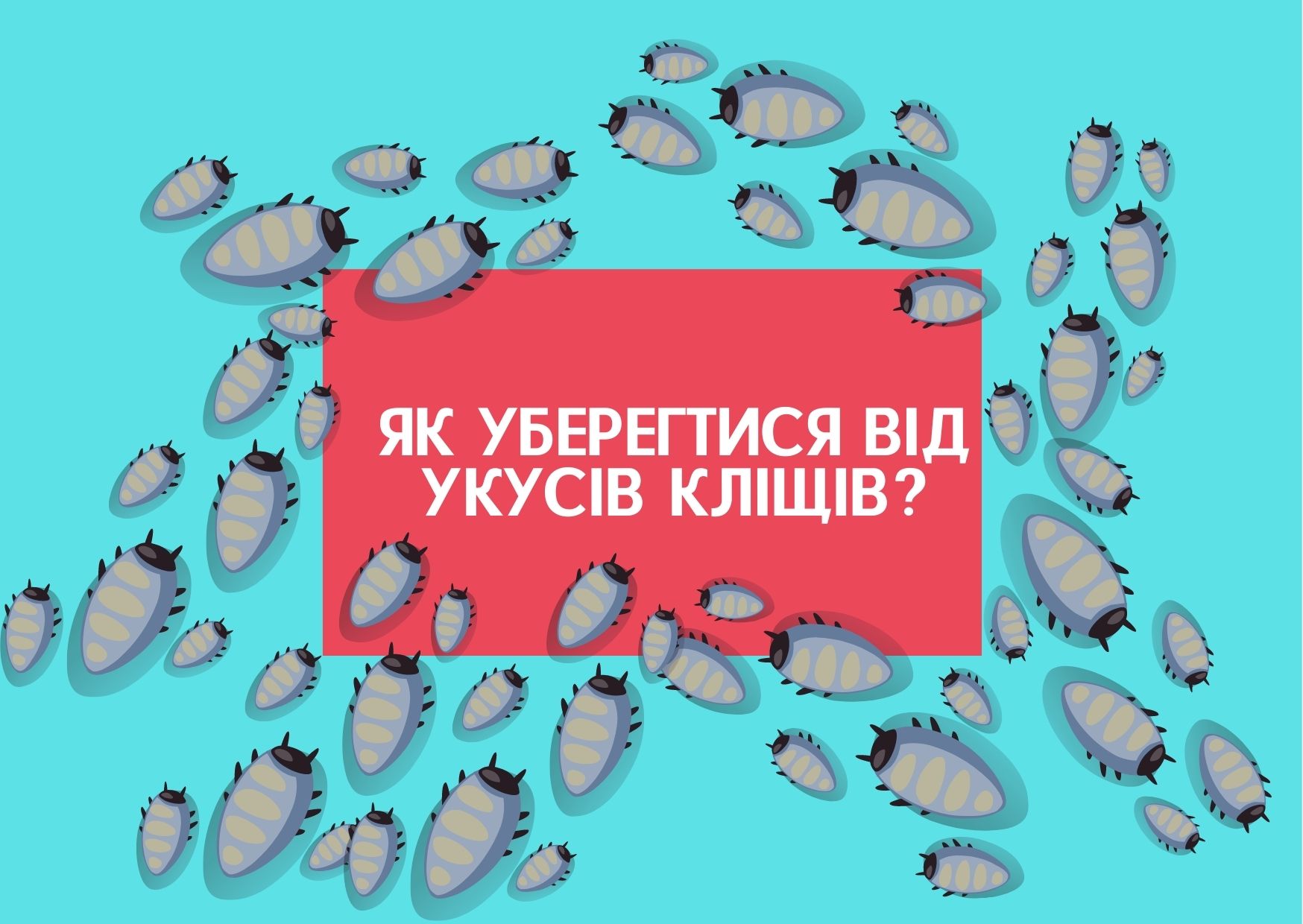 Як уберегтися від укусів кліщів?