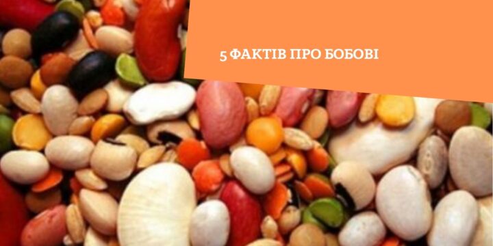 5 фактів про бобові