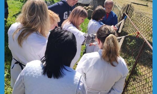 Повертаємся до плетіння сіток