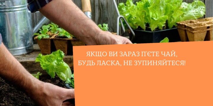 Чому люди, які працюють на землі, здоровіші?