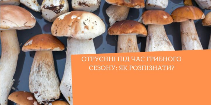 Отруєнні під час грибного сезону: як розпізнати?