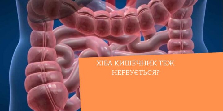 Хіба кишечник теж нервується?