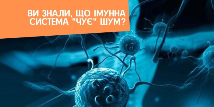 Ви знали, що імунна система “чує” шум?