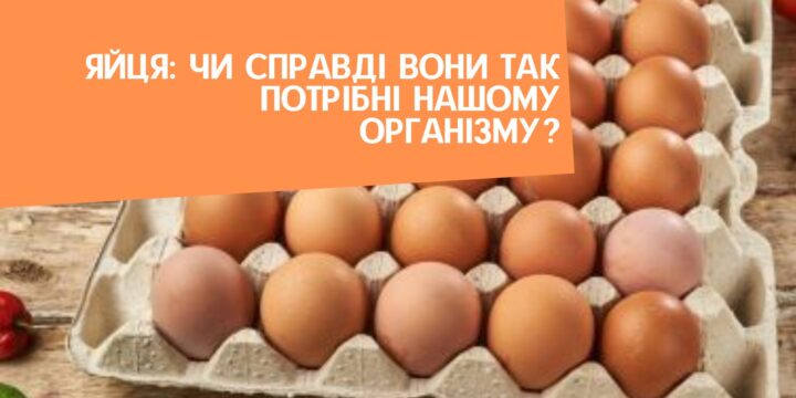 Яйця: чи справді вони так потрібні нашому організму?