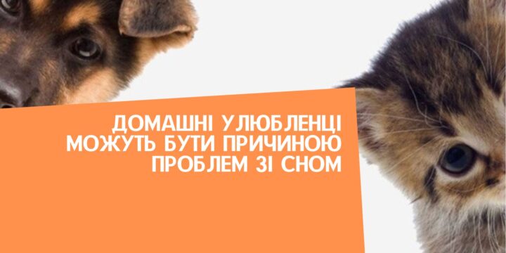 Домашні улюбленці можуть бути причиною проблем зі сном