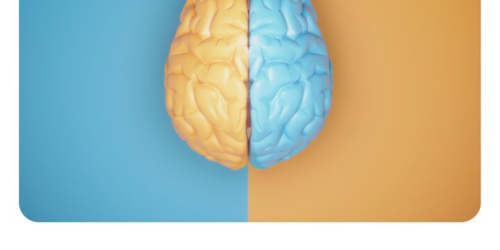 Яка півкуля мозку має важливіші функції?