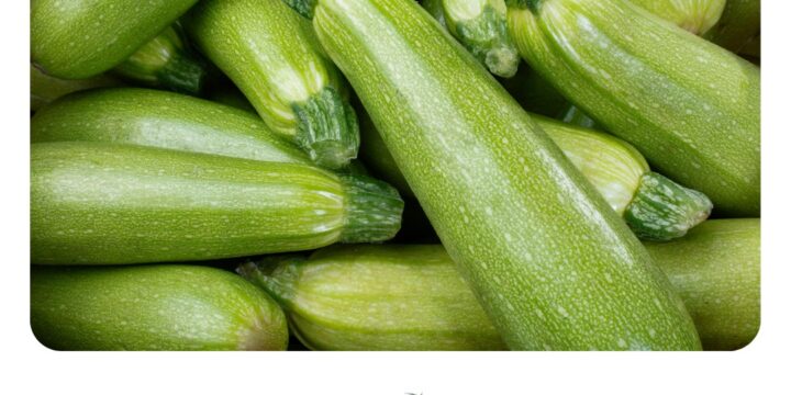 Кабачки: Цілющі родичі кабачкові