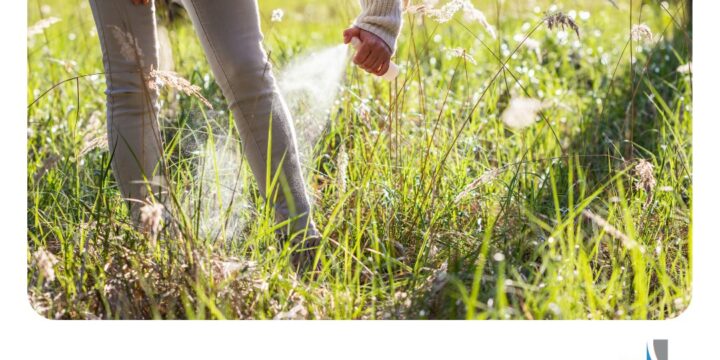 Телебачення ТРК Надвірна представляє: «Комахи: профілактика та запобігання укусів»