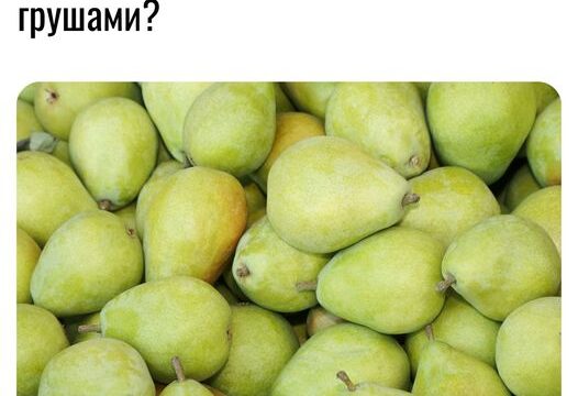 А ви вже встигли поласувати грушами?
