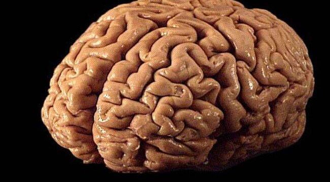 Поради для здоров`я мозку