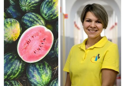 У чому суперсила кавуна?