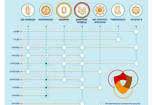 Національний календар щеплень