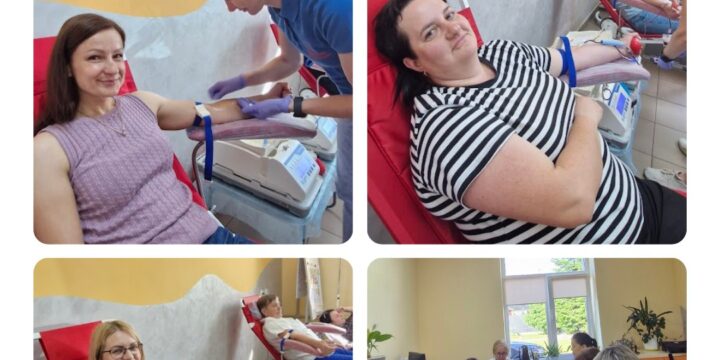 Двотижневий звіт (2 – 13 червня 2025 року)