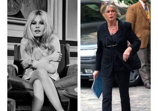 Бріжіт Бардо: історія життя, що нагадує про цінність здоров’я