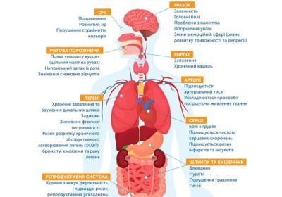 Це відбувається з організмом, коли ви курите